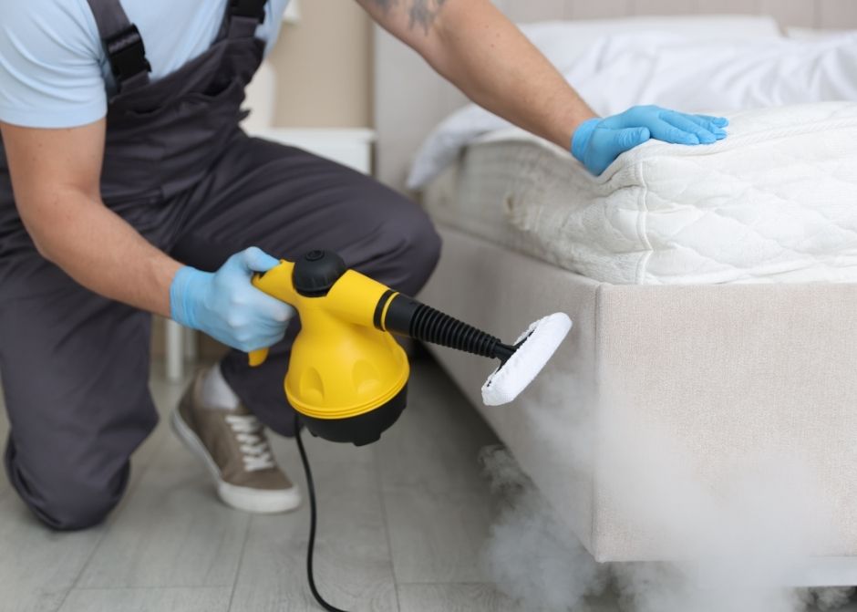 Osmangazi Kene İlaçlama